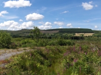 Coed Preseli - SOLD photo 8