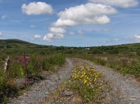 Tan-y-Clawdd - SOLD photo 2