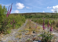 Tan-y-Clawdd - SOLD photo 7
