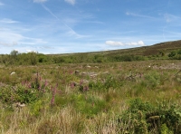 Tan-y-Clawdd - SOLD photo 8