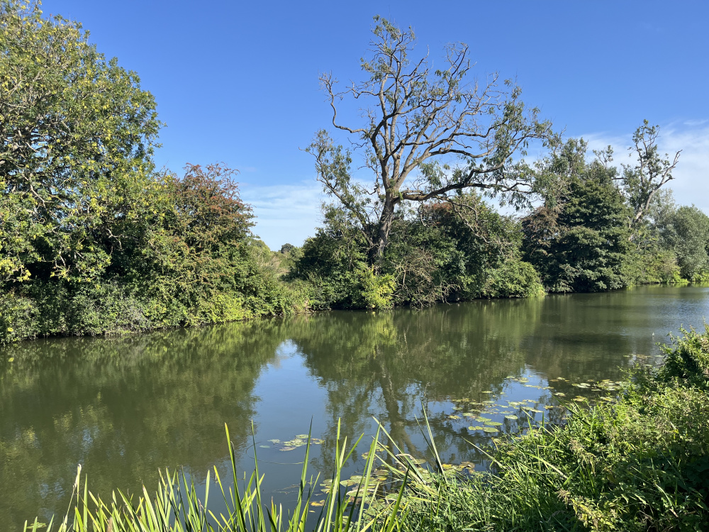 The river Avon