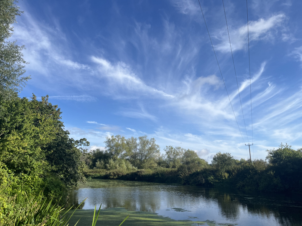 At the water's edge