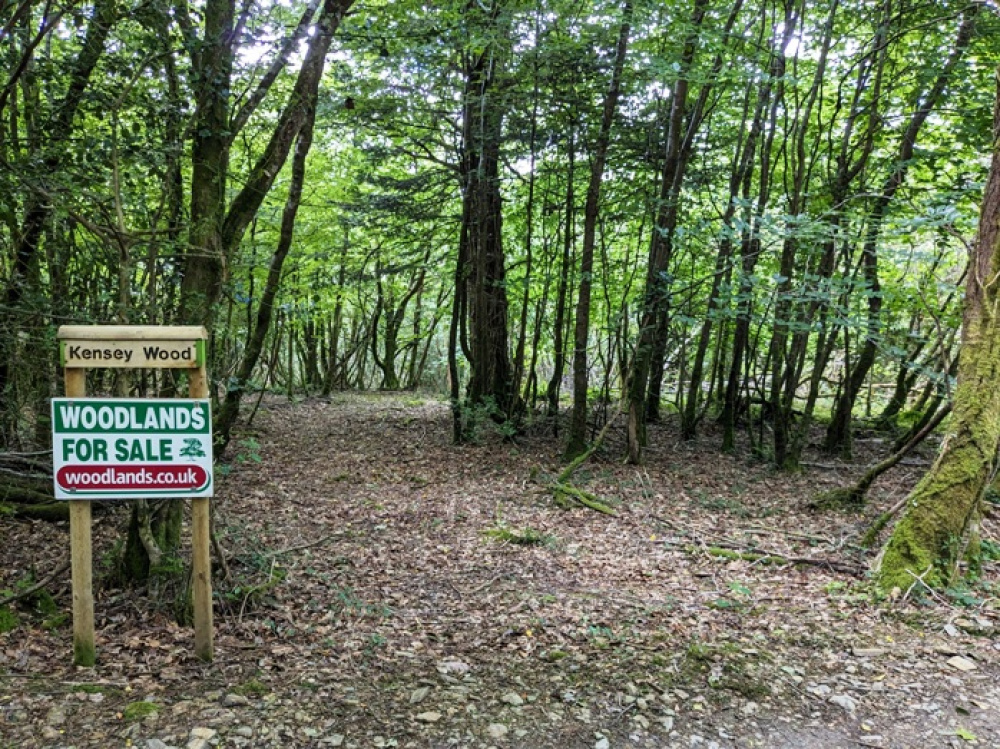 Entrance and path into the woodland