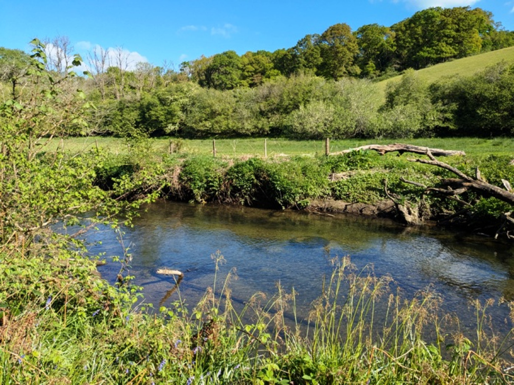Looking out to the north