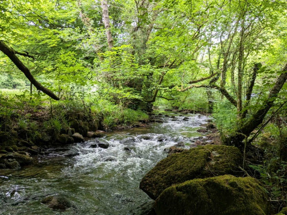 Stunning riverside location
