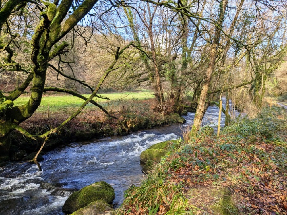 Stunning riverside location