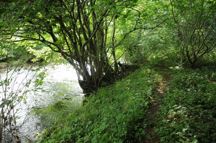 The path by the river