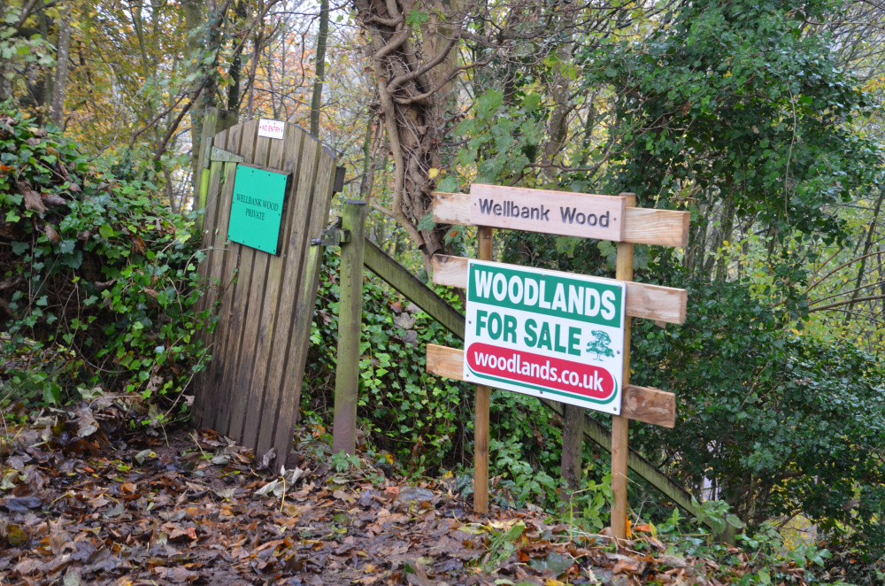 Entrance to the wood