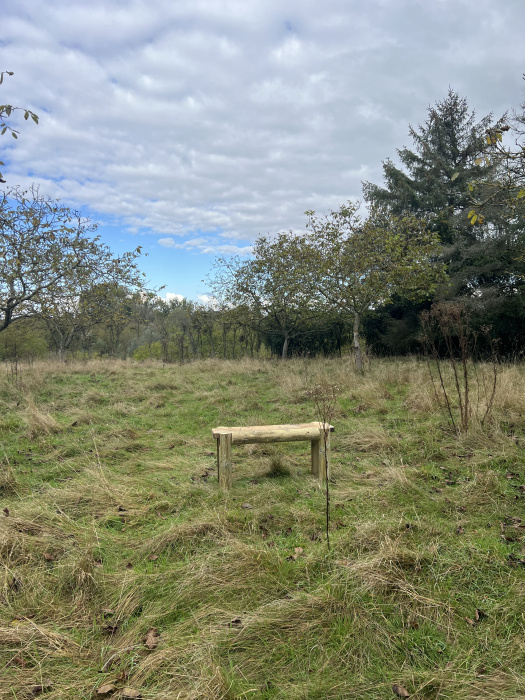 Bench with a view. 