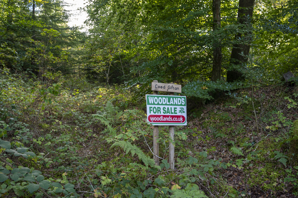 Croeso - Welcome to Coed Giftan