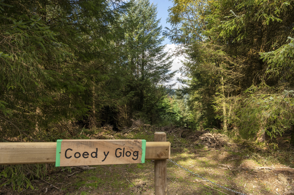 Croeso - welcome to Coed Y Glog