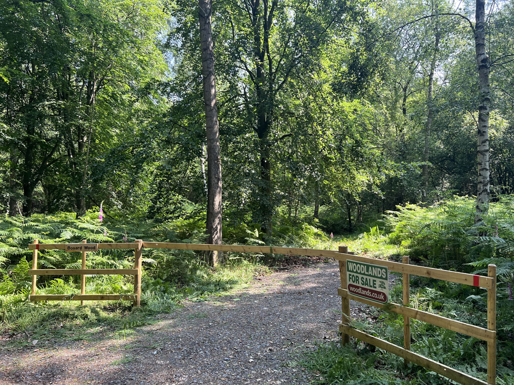 The ridestop entrance