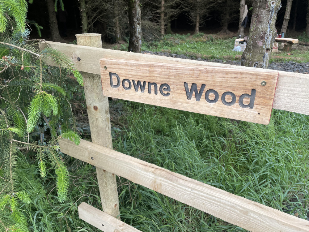 Downe Wood