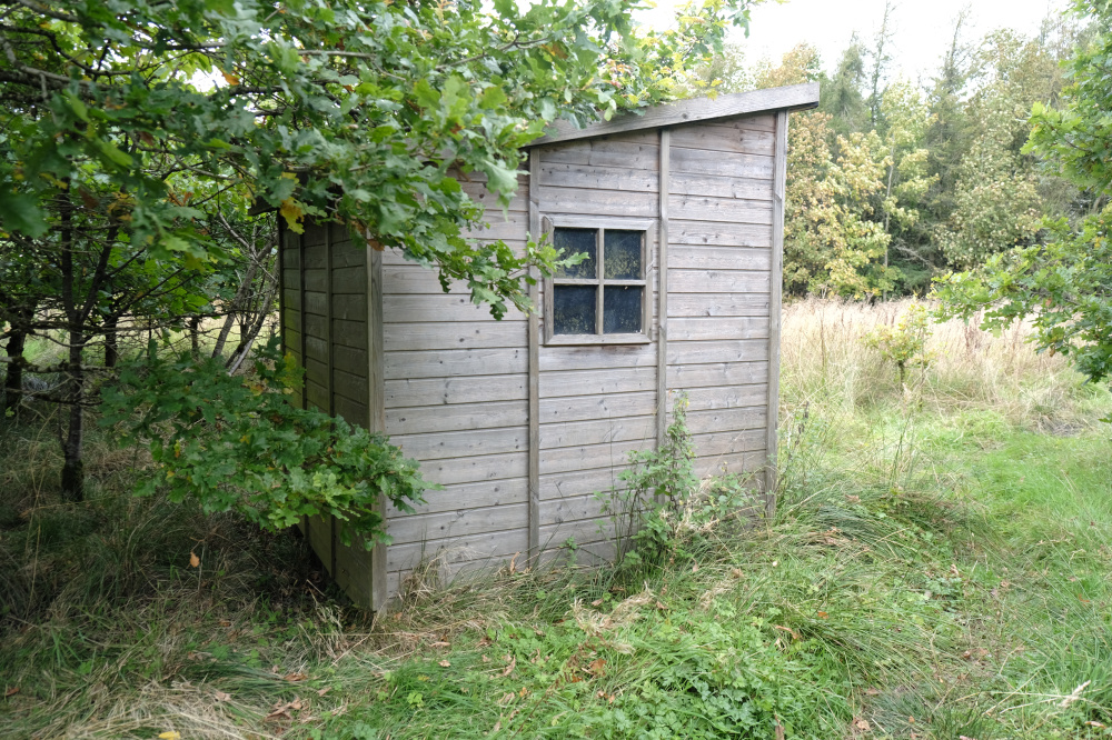 Shed