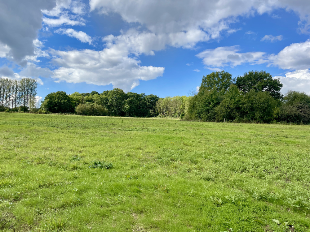 A secluded and tranquil meadow set amongst ancient woodland in the High Weald