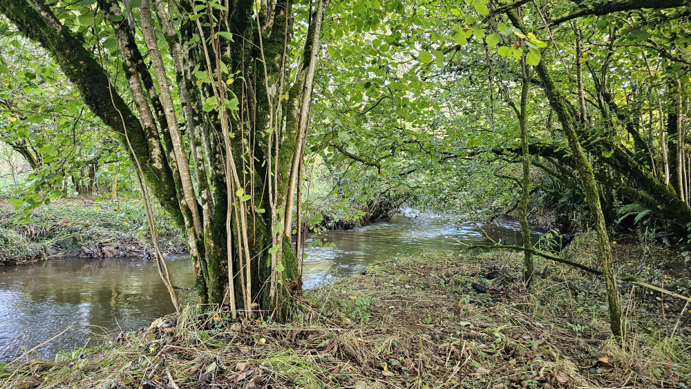 An ideal spot for a small family basecamp next to the river