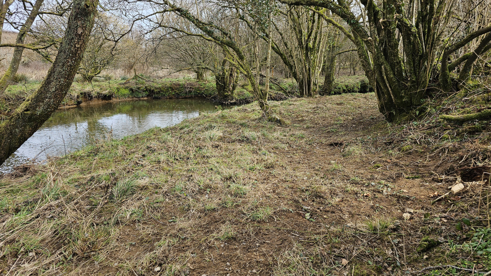 The River Torridge complete with fishing rights