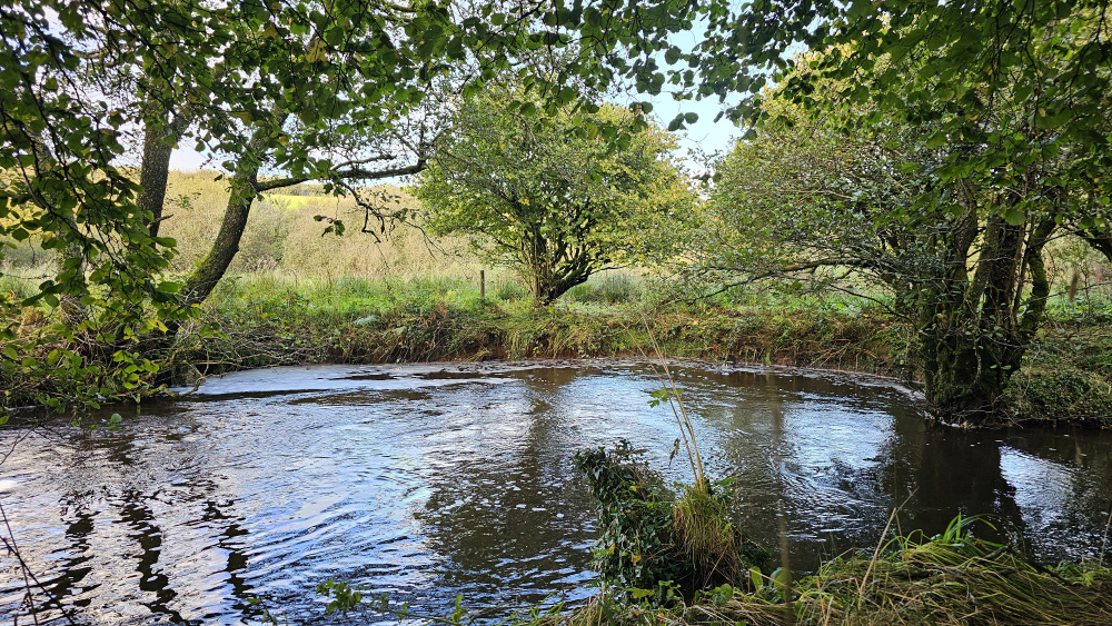 A serene retreat tucked away along the banks of the River Torridge.  Fishing rights are included with the land.