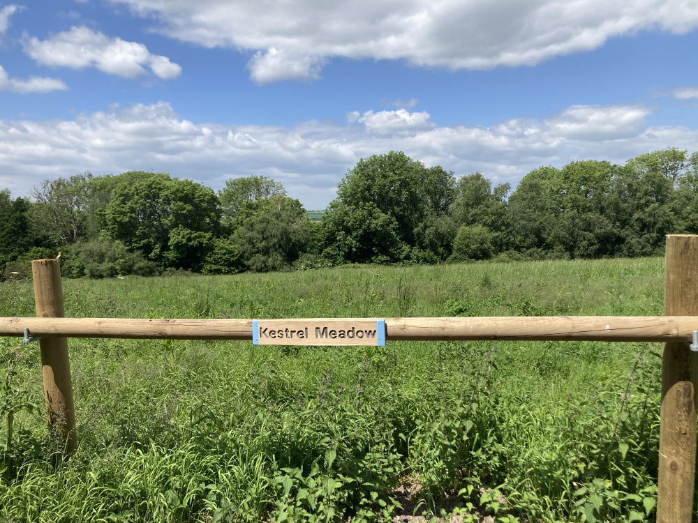 Kestrel Meadow - ride stop and name plate