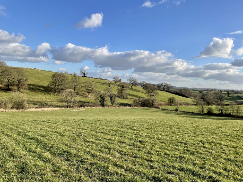 Undulating hills make for a perfect view across the valley from Swift Meadow