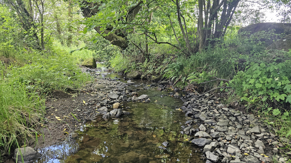 The fresh water brook marks the eastern boundary