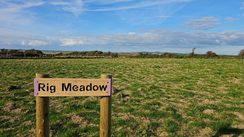 The meadow name plate