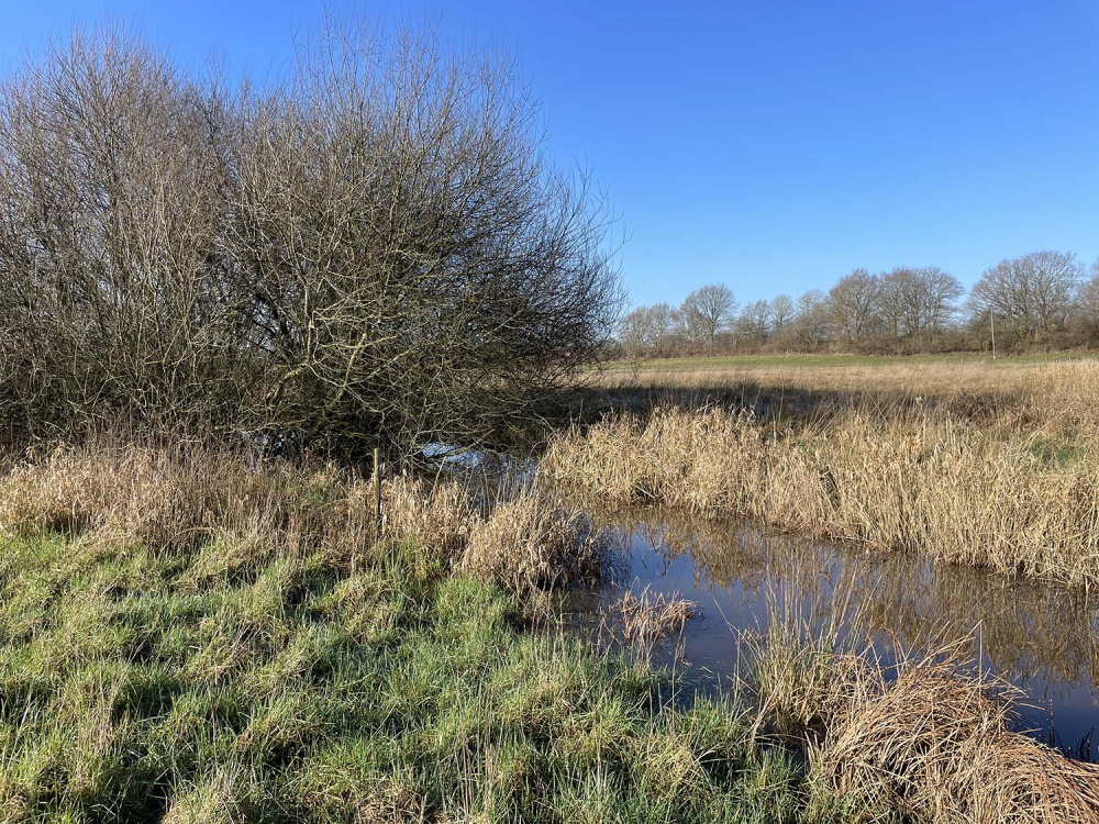 Drain (included) north west boundary Dew Meadow