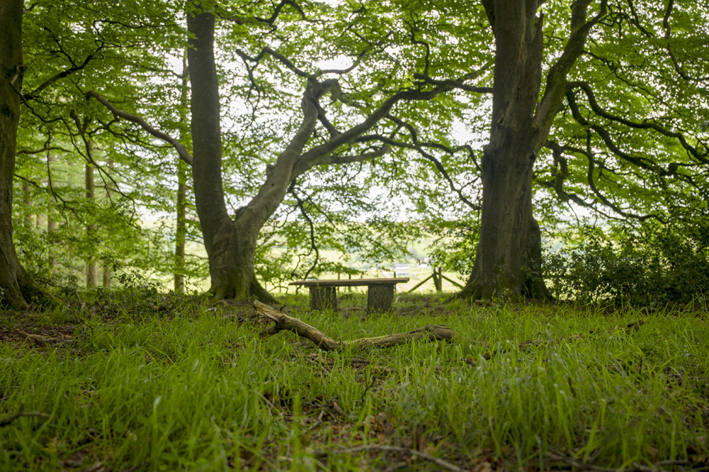 Bench for a cuppa