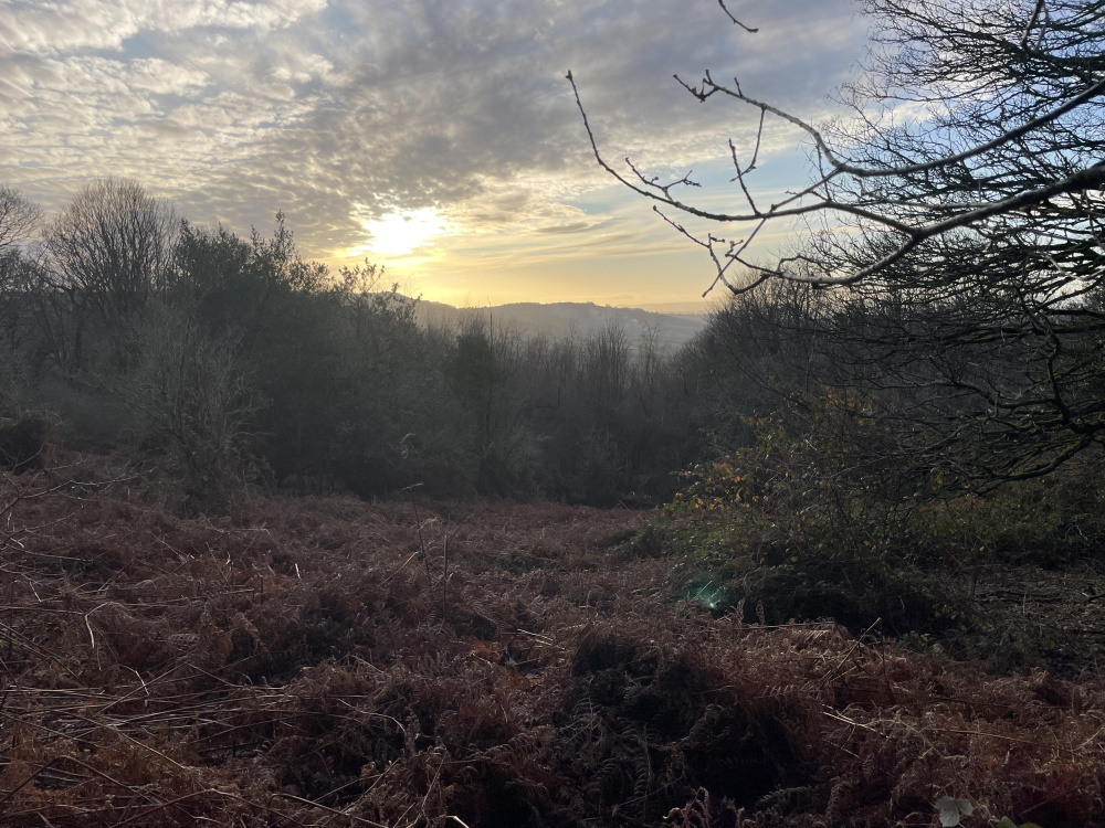 Winter sunset 