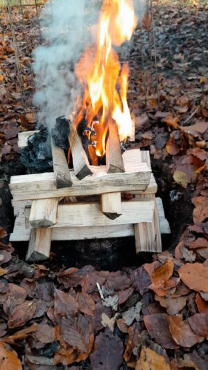 One of the elements - FIRE in Mistletoe Wood.