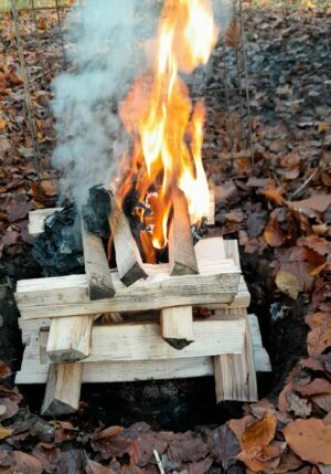 One of the elements - FIRE in Mistletoe Wood.