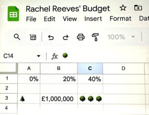 Rachel Reeves’ First Budget: Implications for Woodlands and Forestry