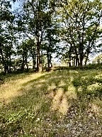 Our happy place.
