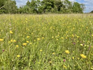 Fertilisers and pollinators