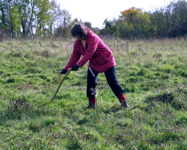 Churchyard Scything with Austrian Scythes – and manual baling